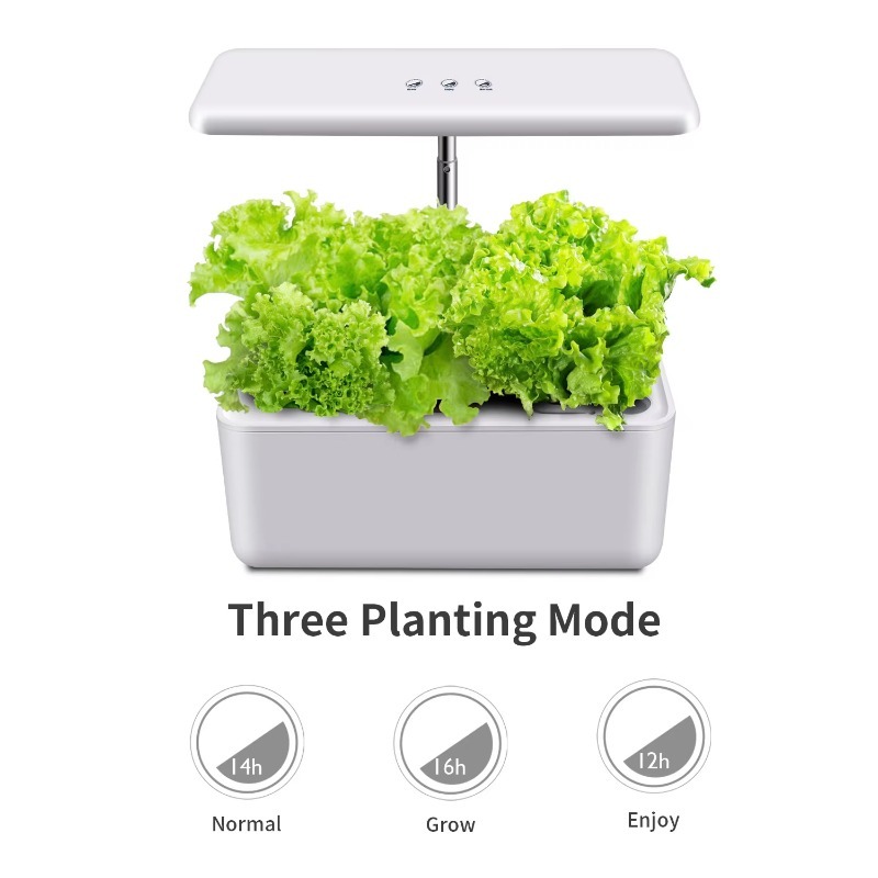 ระบบปลูกพืชไฮโดรโปนิกส์อัจฉริย - Smart Garden Design บทวิจารณ์และราคา