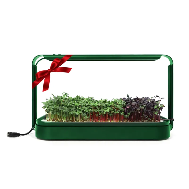 ไอเดียของขวัญคริสต์มาส ชุดเริ่ - Smart Garden Ideas บทวิจารณ์และราคา