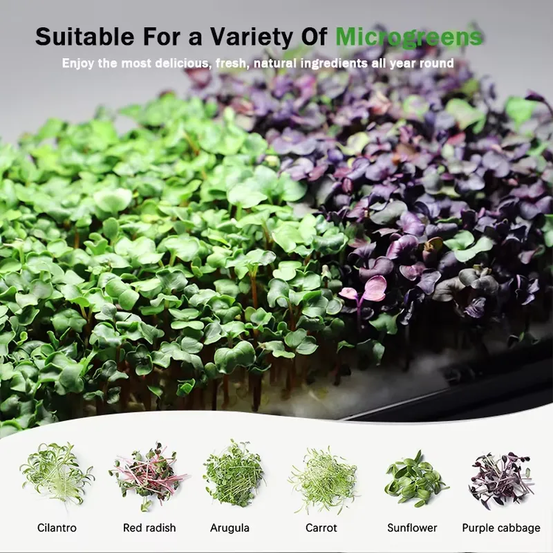 ไอเดียของขวัญคริสต์มาส ชุดเริ่ - Smart Garden Ideas บทวิจารณ์และราคา