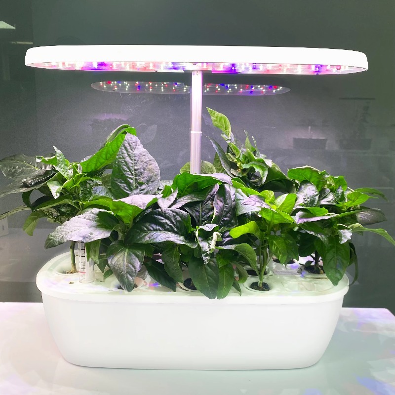 ระบบสวนไฮโดรโปนิกส์อัจฉริยะภาย - Smart Garden Design บทวิจารณ์และราคา