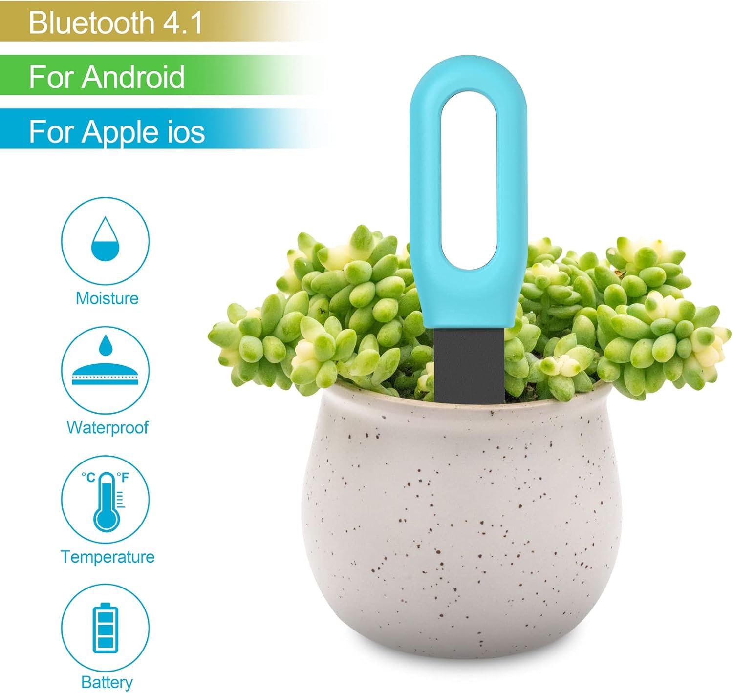 เครื่องวัดความชื้นและอุณหภูมิด - Soil Test Digital บทวิจารณ์และราคา